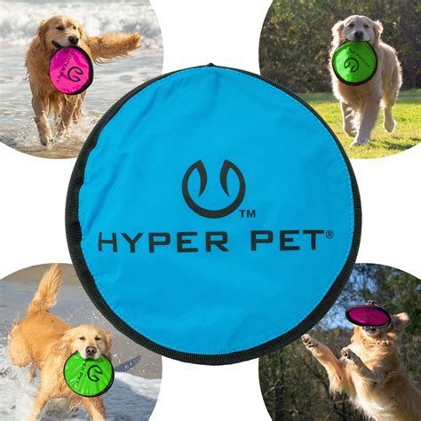 frisbee for dogs amazon